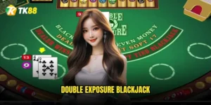 Double Exposure Blackjack
